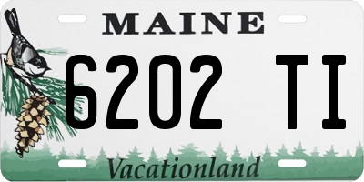 ME license plate 6202TI