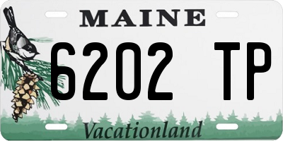 ME license plate 6202TP