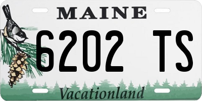 ME license plate 6202TS