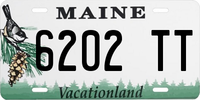ME license plate 6202TT