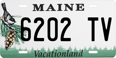 ME license plate 6202TV