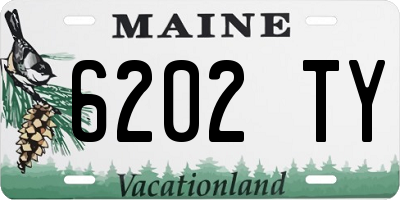 ME license plate 6202TY