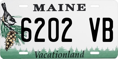 ME license plate 6202VB