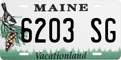 ME license plate 6203SG