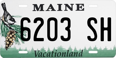 ME license plate 6203SH