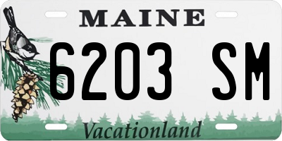 ME license plate 6203SM
