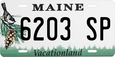 ME license plate 6203SP