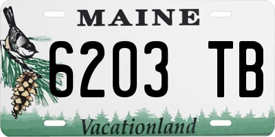 ME license plate 6203TB