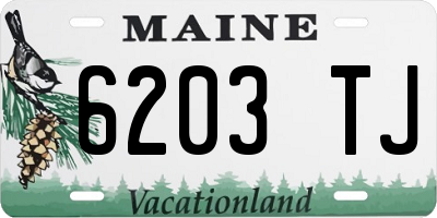ME license plate 6203TJ