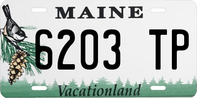 ME license plate 6203TP