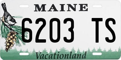 ME license plate 6203TS