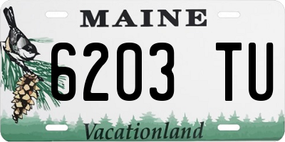 ME license plate 6203TU