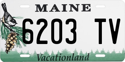 ME license plate 6203TV