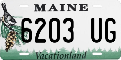 ME license plate 6203UG