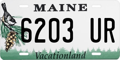 ME license plate 6203UR