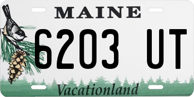 ME license plate 6203UT