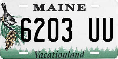 ME license plate 6203UU