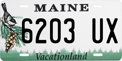 ME license plate 6203UX