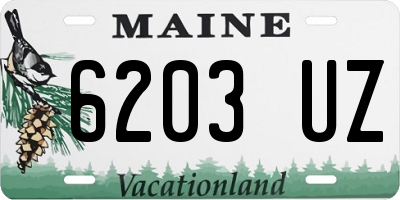 ME license plate 6203UZ