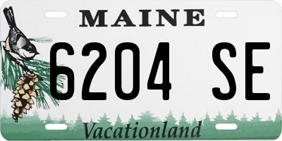 ME license plate 6204SE