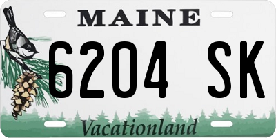 ME license plate 6204SK