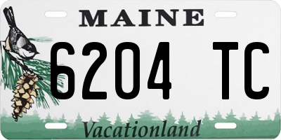 ME license plate 6204TC