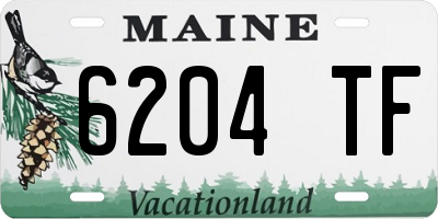 ME license plate 6204TF