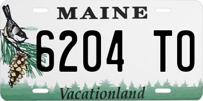ME license plate 6204TO