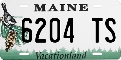 ME license plate 6204TS