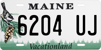 ME license plate 6204UJ