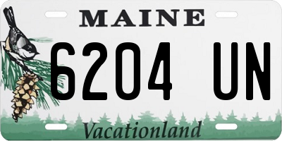 ME license plate 6204UN