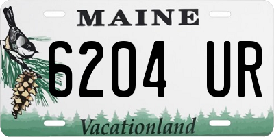 ME license plate 6204UR