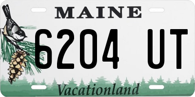 ME license plate 6204UT