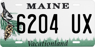 ME license plate 6204UX