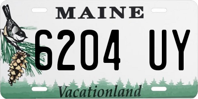 ME license plate 6204UY