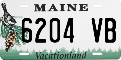 ME license plate 6204VB