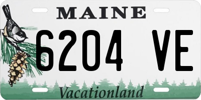 ME license plate 6204VE