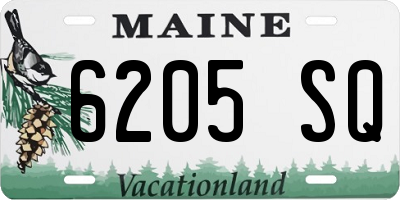 ME license plate 6205SQ