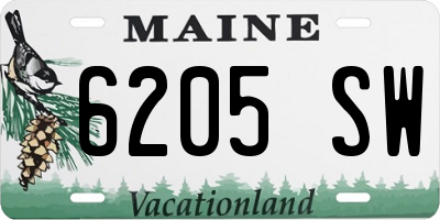 ME license plate 6205SW