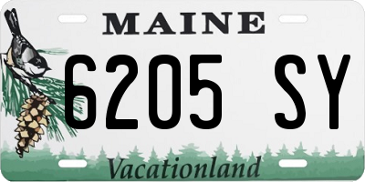 ME license plate 6205SY