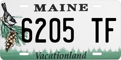 ME license plate 6205TF