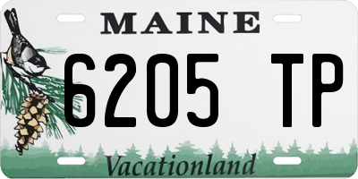 ME license plate 6205TP