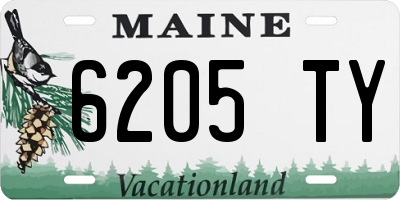 ME license plate 6205TY