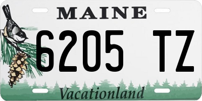 ME license plate 6205TZ