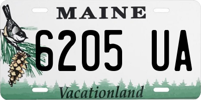 ME license plate 6205UA