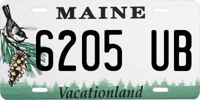 ME license plate 6205UB