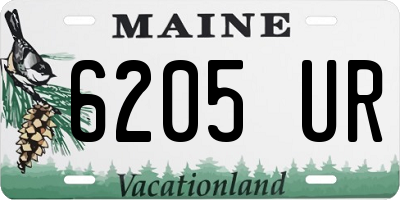 ME license plate 6205UR