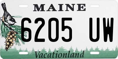 ME license plate 6205UW