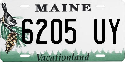 ME license plate 6205UY