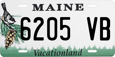ME license plate 6205VB